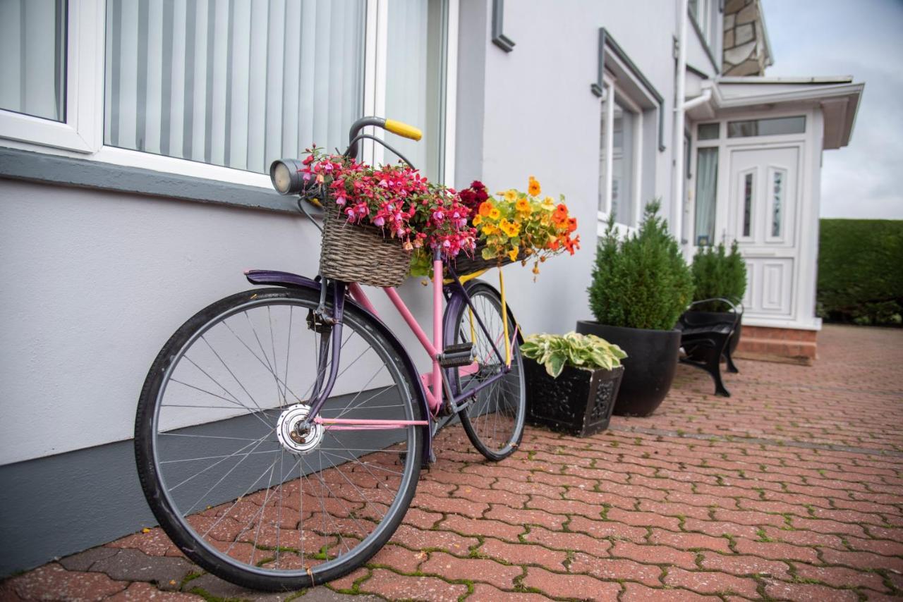 Drom Na Gainne B&B Carrickmore Экстерьер фото